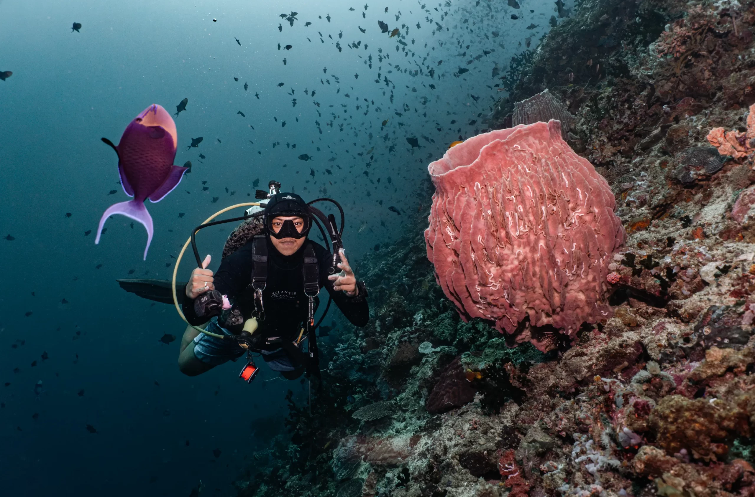 Verde Island from below. Blue triggerfish galore!