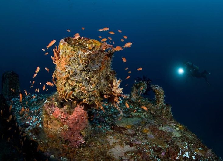 atlantis-night-diving